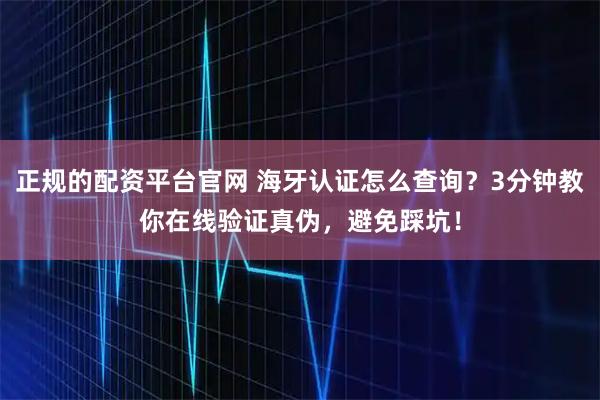 正规的配资平台官网 海牙认证怎么查询？3分钟教你在线验证真伪，避免踩坑！